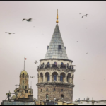 Galata Tower with Seagulls - Istanbul